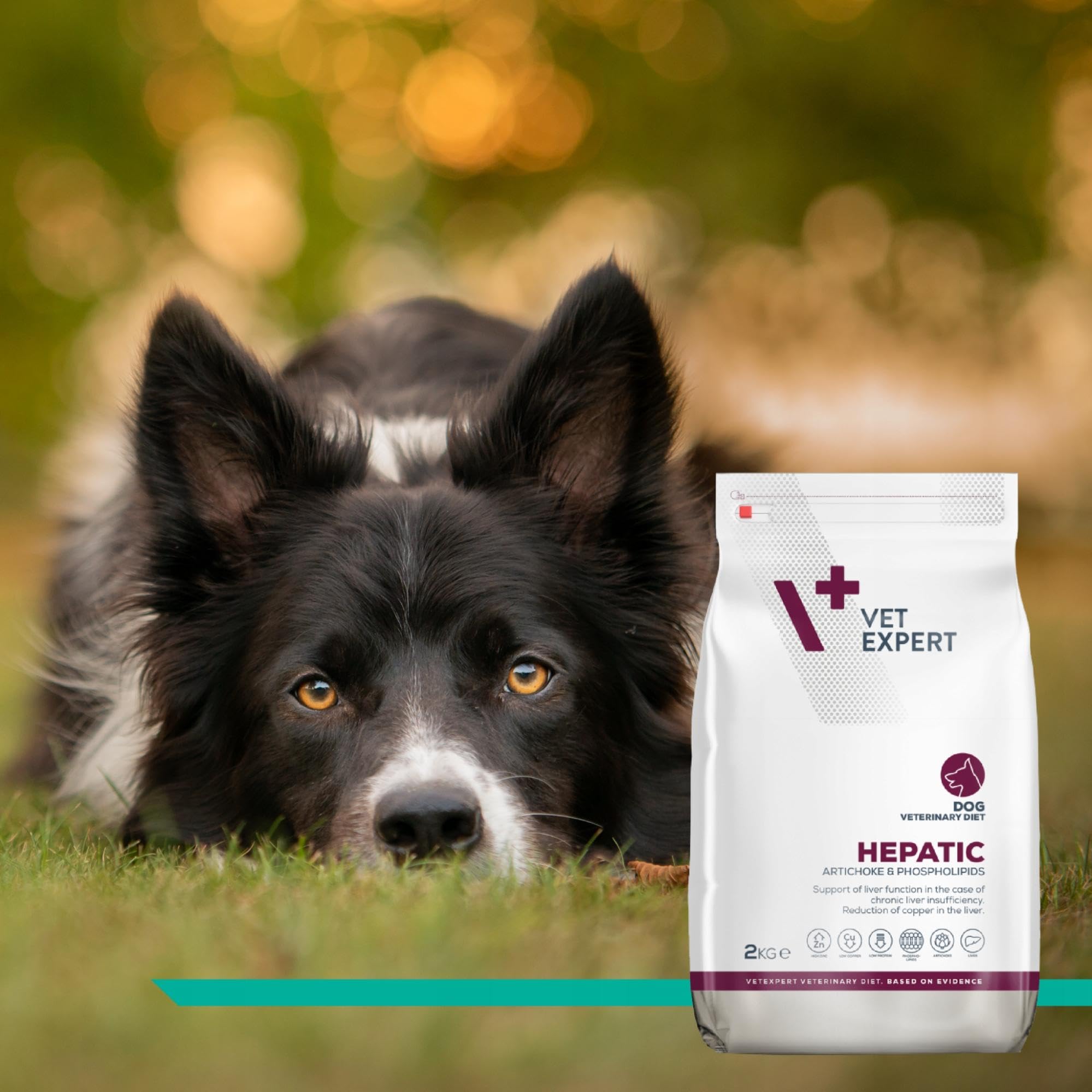 VET EXPERT HEPATIC DOG 2 kg - sucha karma weterynaryjna dla psów z przewlekłą niewydolnością wątroby