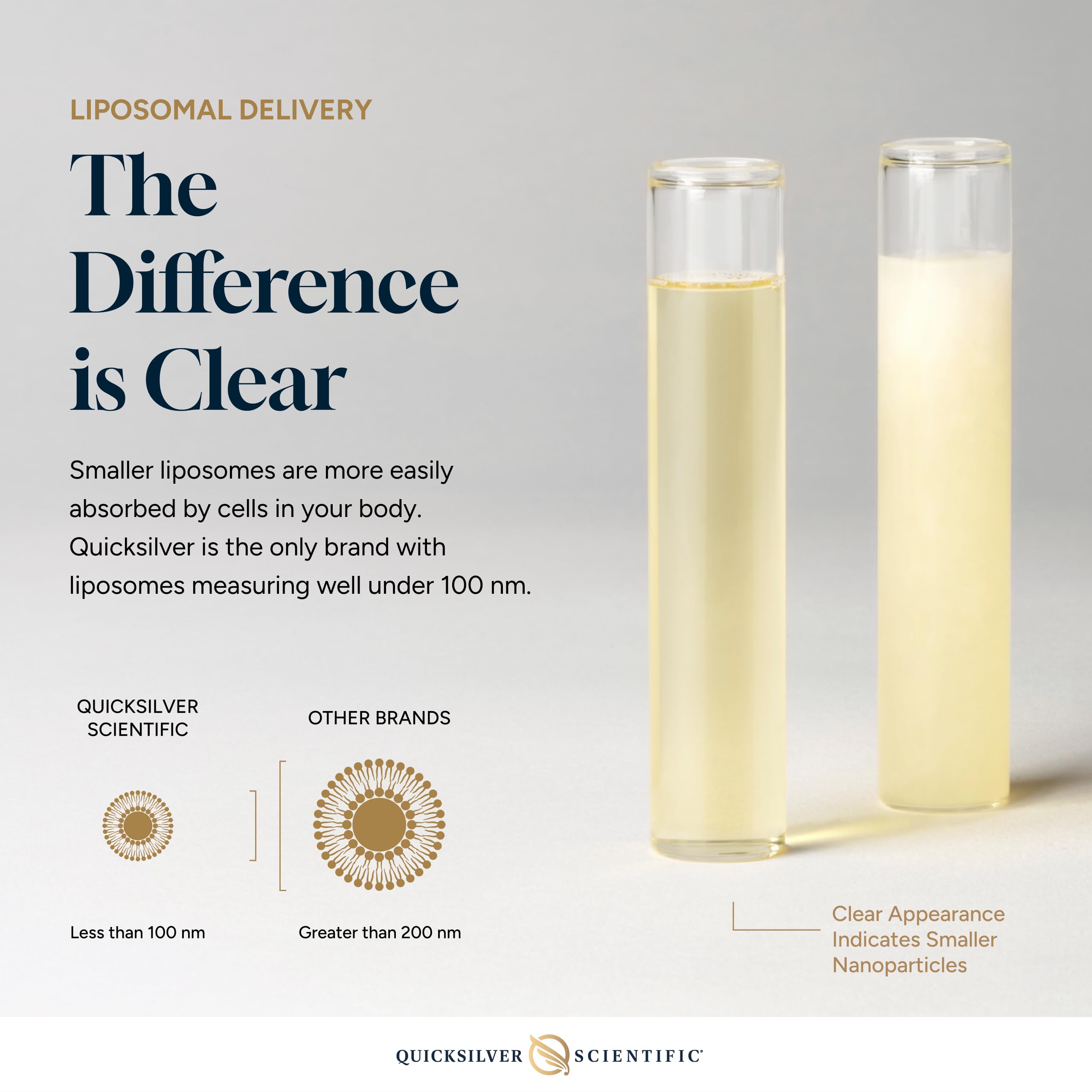 Amazon.com: Quicksilver Scientific Liposomal Glutathione - Superior Absorption Oral Glutathione Supplement for Detox & Immune Support Amazon.com: Quicksilver Scientific Liposomal Glutathione - Superior Absorption Oral Glutathione Supplement for Detox & Immune Support