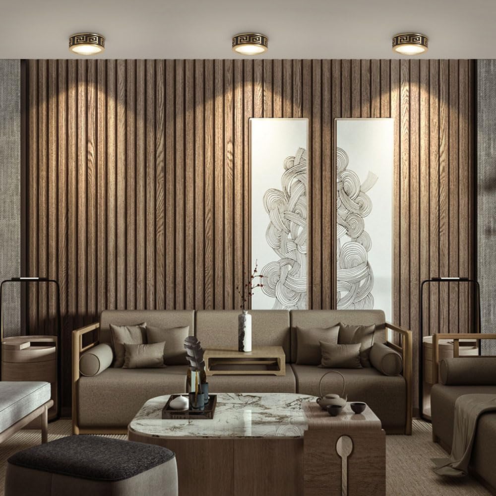 Down Lights Indoor Ceiling Light, Brass Mounted Surface Spotlights, LED Downlight, Led Retrofit Ceiling Lamp,3W,5W,7W,9W LED Downlights,for Exhibition Hall Living Room Night Ligh