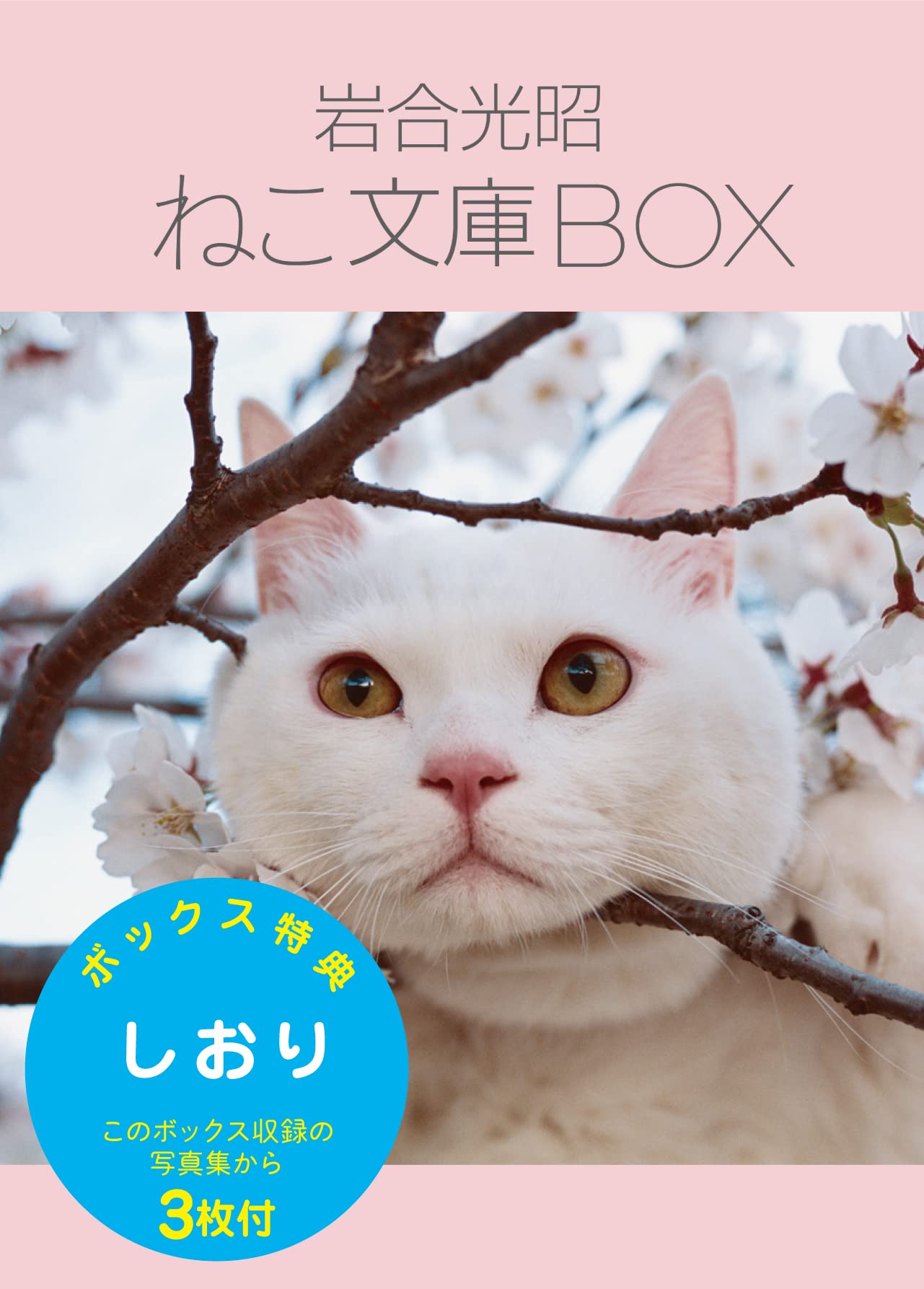 岩合光昭 ねこ文庫BOX | 岩合光昭 |本 | 通販 | Amazon