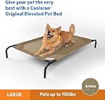 Coolaroo Le lit d'animal de compagnie élevé d'origine, relevé respirant lavable à l'intérieur et l'extérieur, grand, Nutmeg