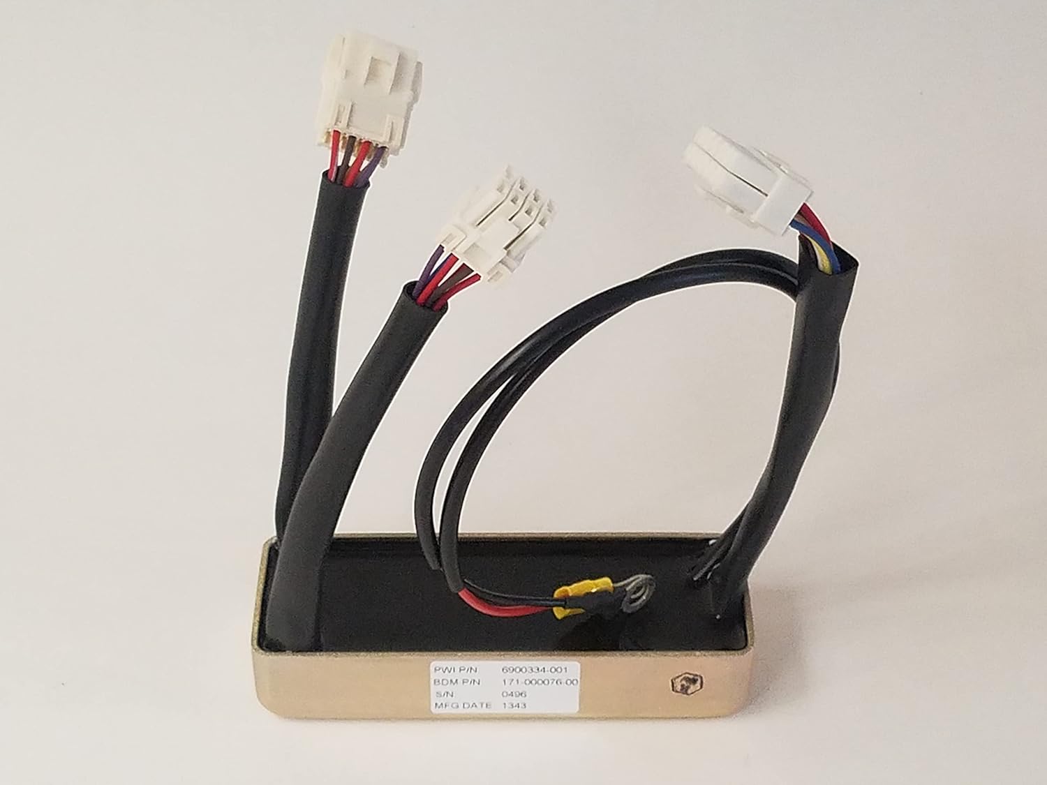 Big Dog EHC PWI PDM Replacement Computer Module (200411