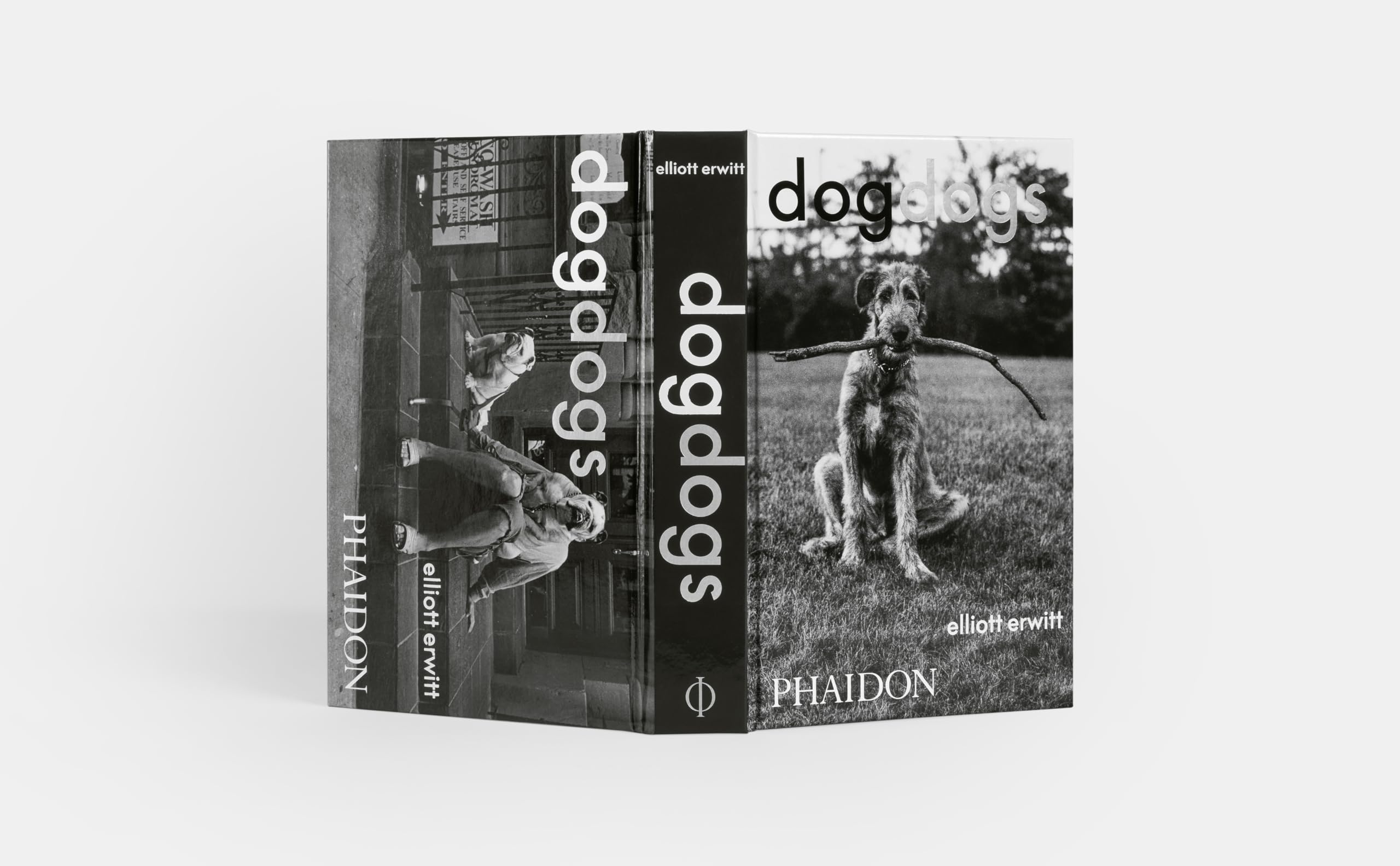 Dogdogs (PHOTOGRAPHY)