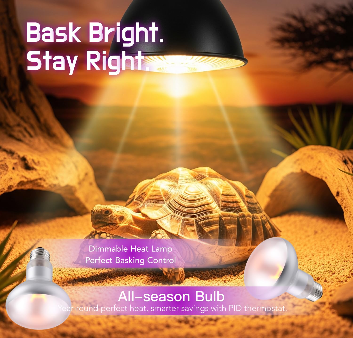 Reptile Heat Lamp, 100W 2-Pack Incandescent Basking Spotlight Bulbs for Reptiles Terrarium Tanks, Reptile Heat Bulb for Infrared Light, Bearded Dragon Heat Bulbs (100W) - image 3