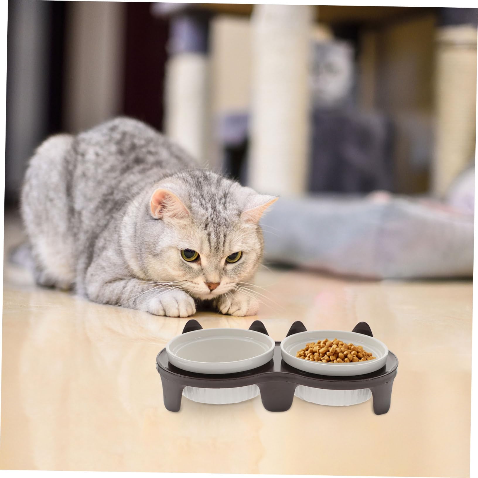 VICASKY Gamelle pour Chat Céramique Antidérapante Gamelle Surélevée Pratique pour Nourrir Chats et Chatons Accessoire de Sol Réutilisable