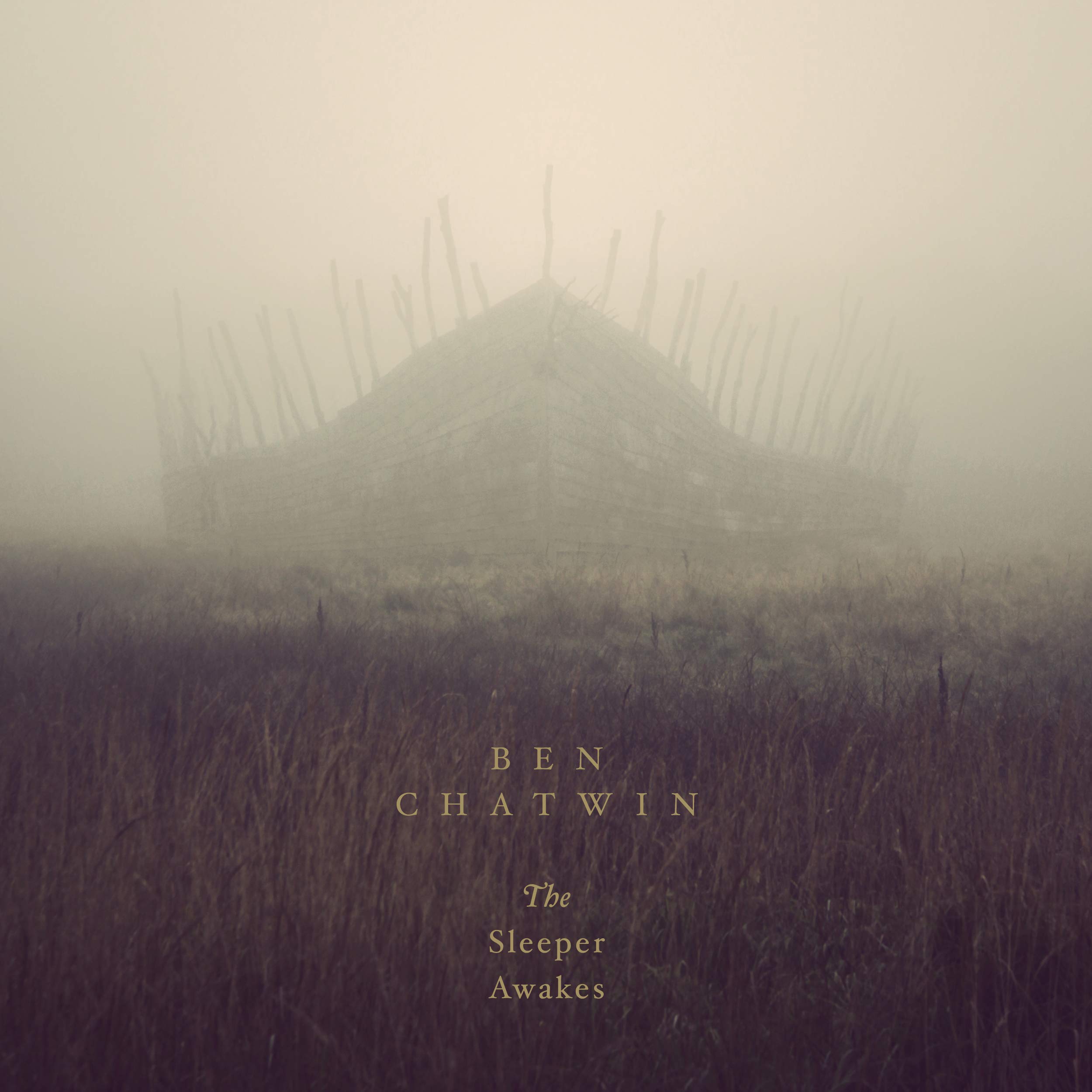 The Sleeper Awakes [VINYL]