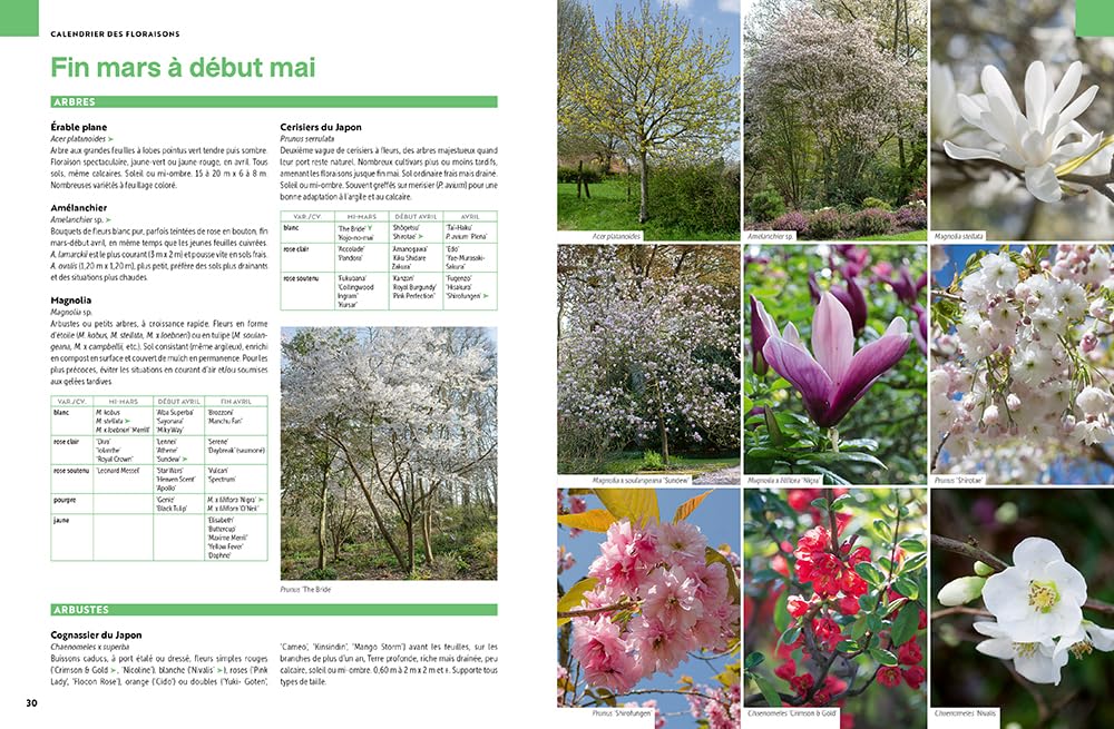 Toutes les plantes - Pour toutes les envies et toutes les situations
