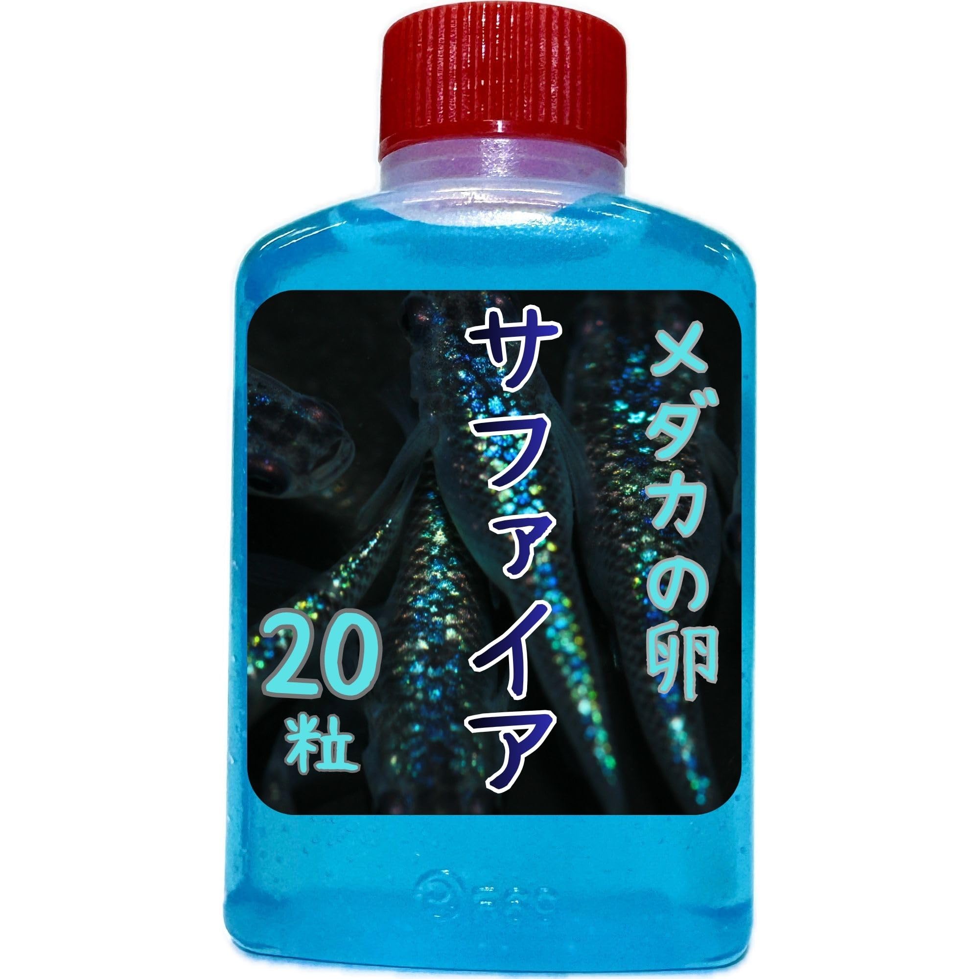 Amazon | サファイアメダカの卵 20粒＋α【発眼卵・有精卵】餌のおまけ 