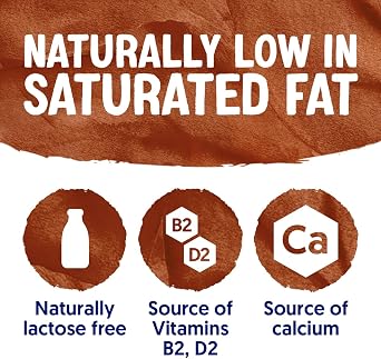 Alpro Chocolate Soya Drink - Plant-Based Long Life Dairy Free & Lactose Free Milk Alternative - 1L (Pack of 8)