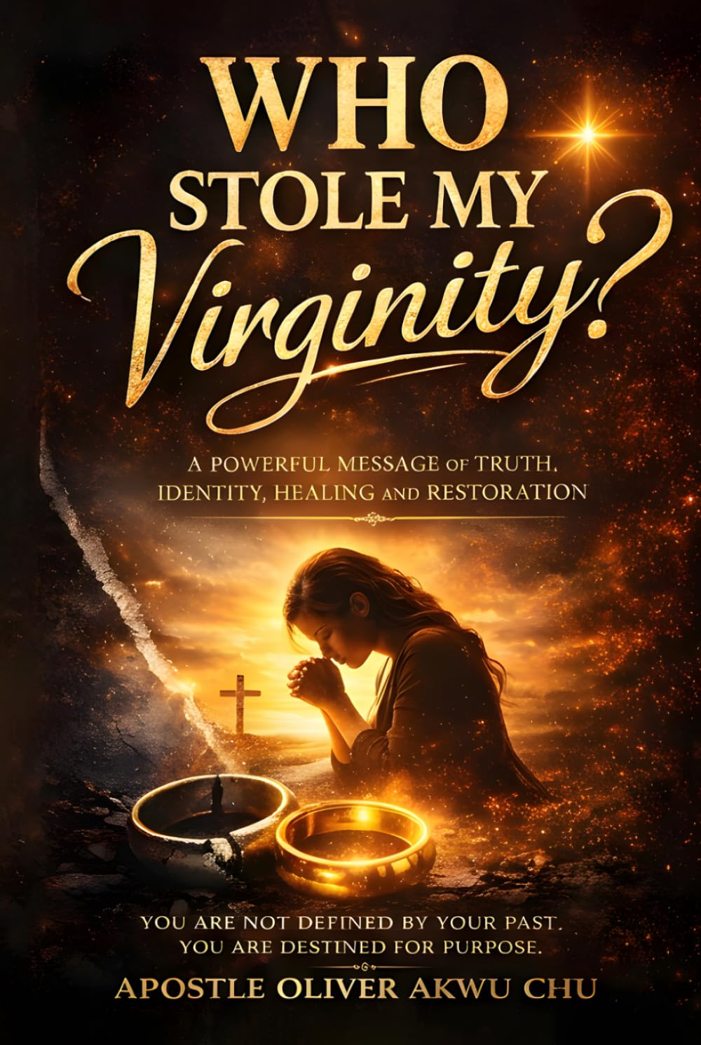 Who Stole My Virginity?: A Powerful Message of Truth, Identity, Healing and Restoration