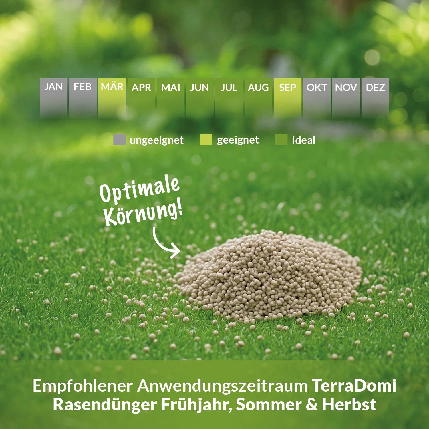 TerraDomi Rasendünger Sommer 20kg NPK 15-15-15 für 1000 m² | Idealer Dünger bei Hitzestress mit Langzeitwirkung - verdrängt Moos - streuwagengeeignet - staubarm & mit extra Schwefel