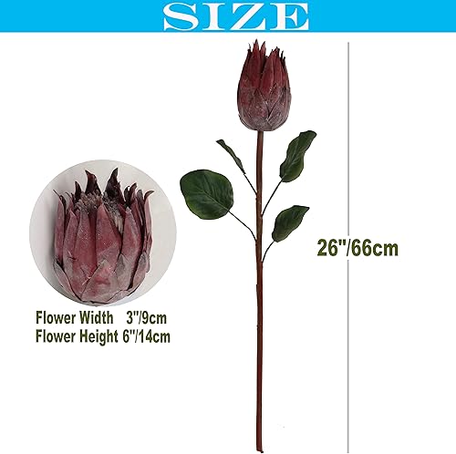 Miniatura 2 de cn-Knight 4 capullos artificiales de prota brote de flores artificiales de proté sintético de 26 pulgadas brote de protea de seda para decoración