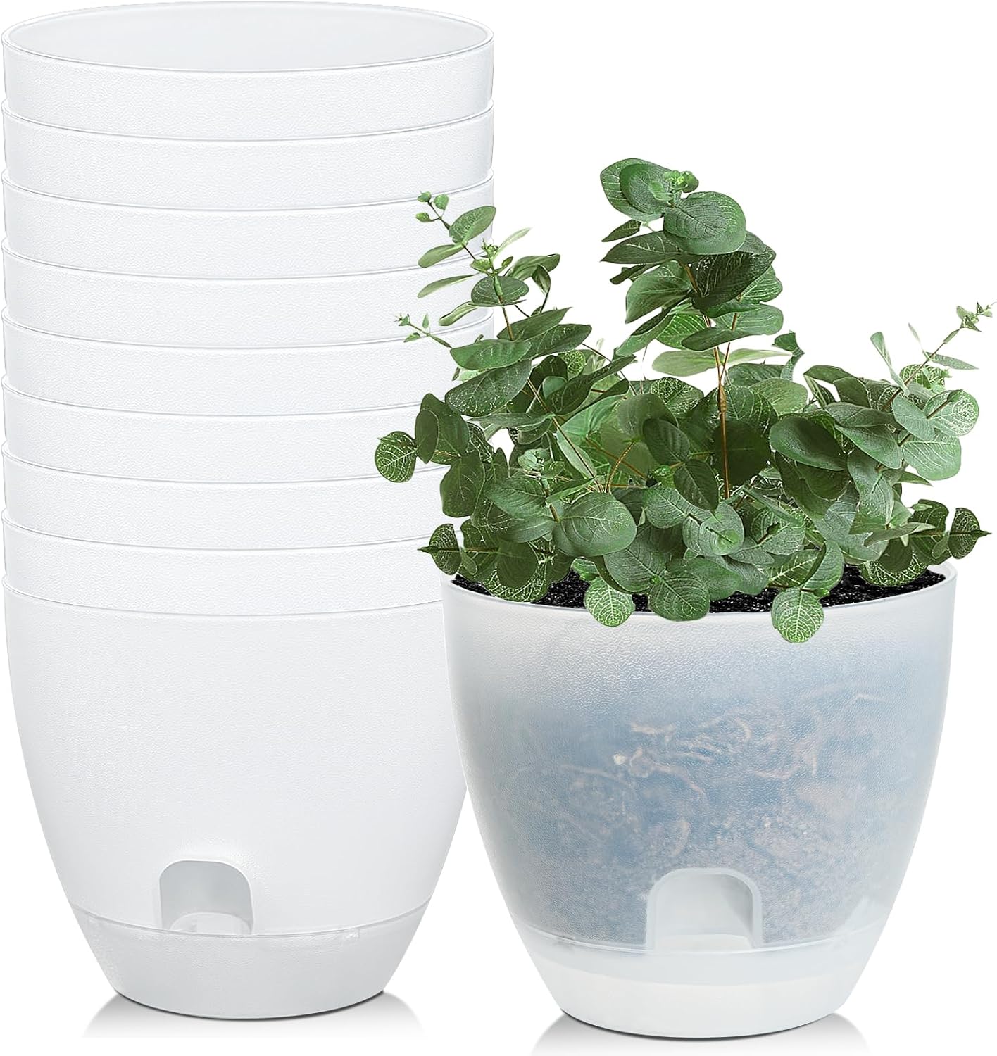 (SIMILAR MODEL) Plant Pots 6 Inch Set of 10, Clear Self Watering Pots for Indoor Outdoor, Self Watering Planters Flower Pots with Drainage Holes and Saucer Reservoir for African Violet, Spider, Orchid
