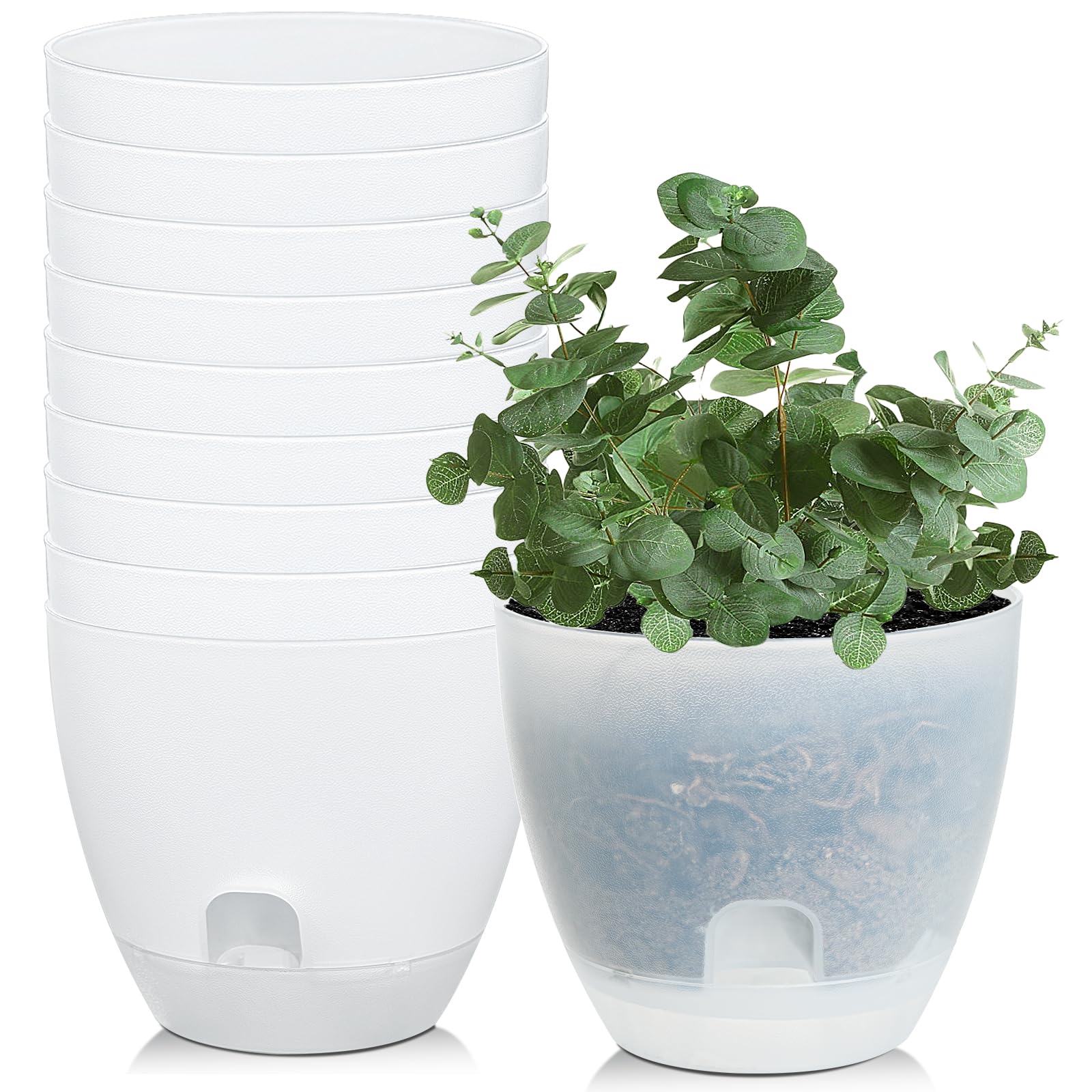 Snapklik.com : IWNTWY Plant Pots 6 Inch Set Of 10, Clear Self Watering ...