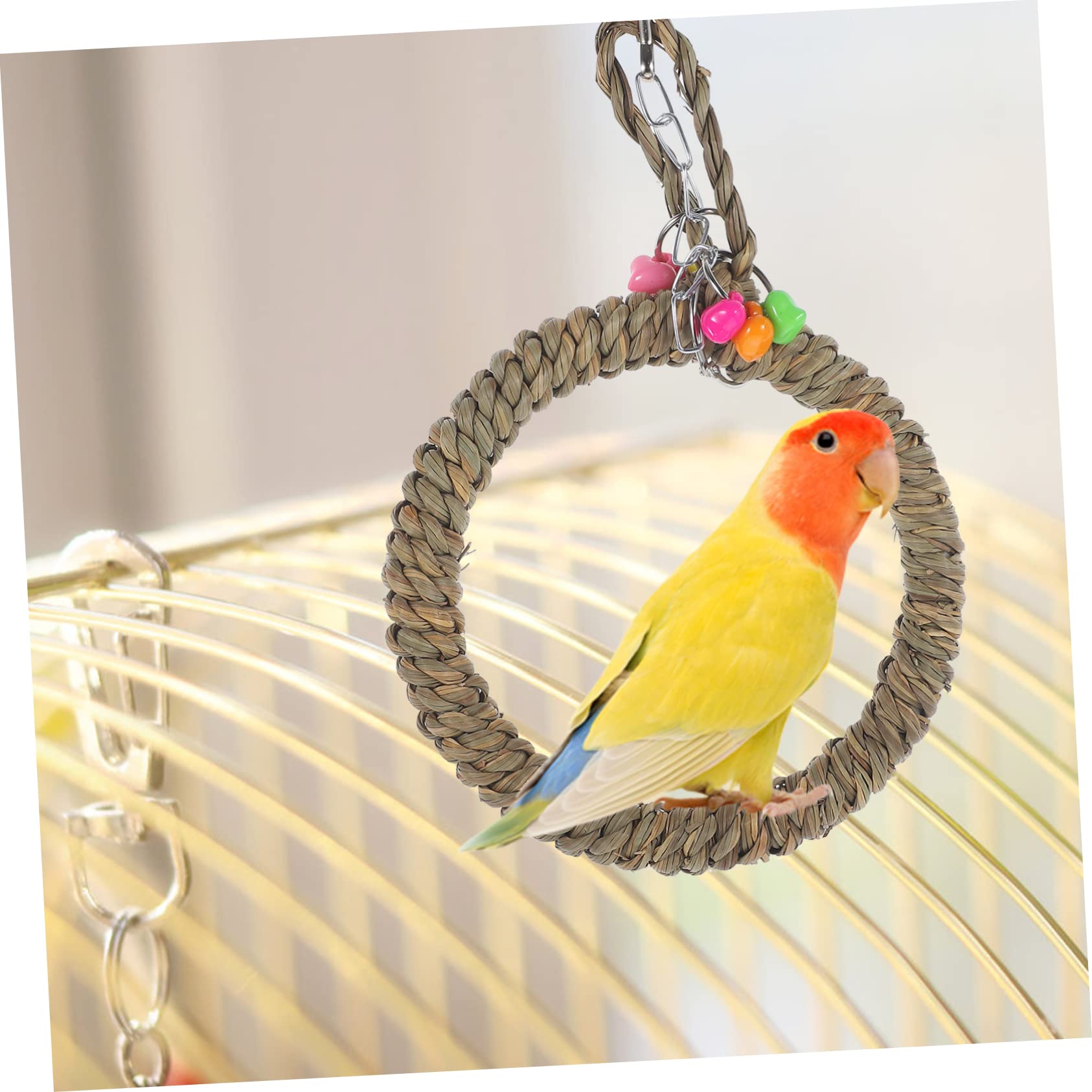 Beavorty 5 Pezzi Di Altalena Per Uccelli Giocattolo Per Pappagalli Supporto Decorativo Per Uccelli Amaca Per Piccoli Uccelli