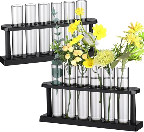 Meanplan 12 Plant Test Tube with 2 Propagated Plant Holders, Test Tube Vase | Test Tubes for Plants, Plastic Hydroponic Propagation Stations, Office Home Decor Gardening Gifts for Women Mom Plants Lovers