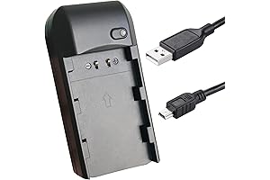 3.7V Video Camera Camcorder NP-FV5 Battery Charger