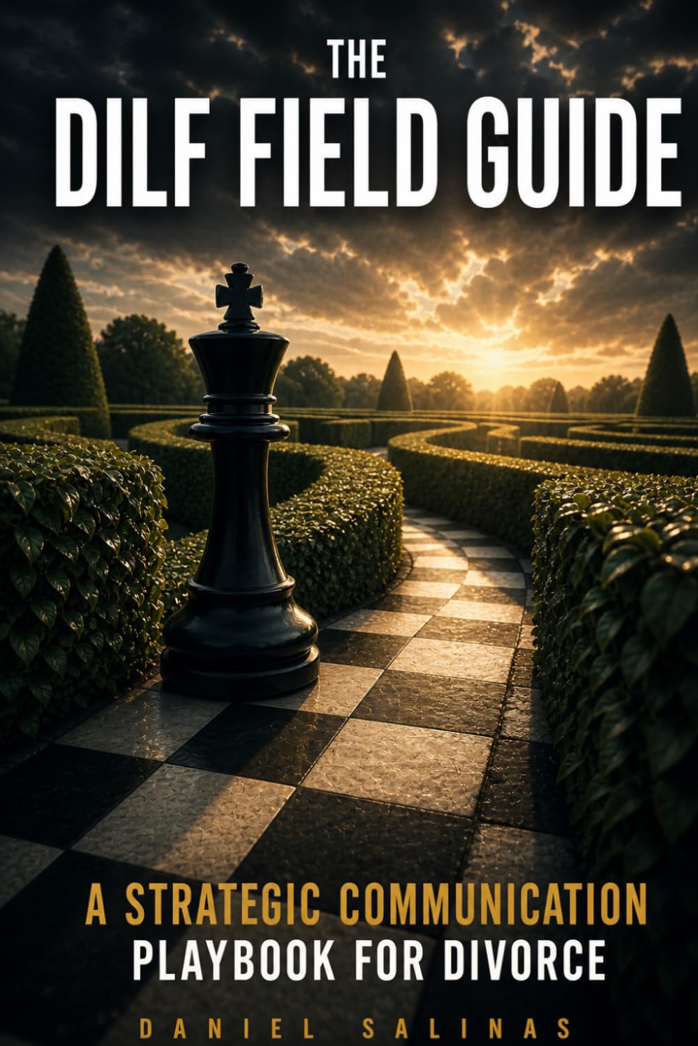 The DILF Field Guide: The Playbook for Communication, Decisions, and Control During Separation and Divorce (DILF Divorce Strategy Series)