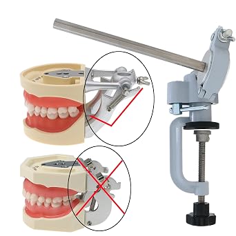 Typodont Teeth Model Training Mount, Desk-Clamp Dental Manikin Stand with Adjustable Ball Joint for Dental Education (Model NOT Included) Compatible Rod Diameter 10mm