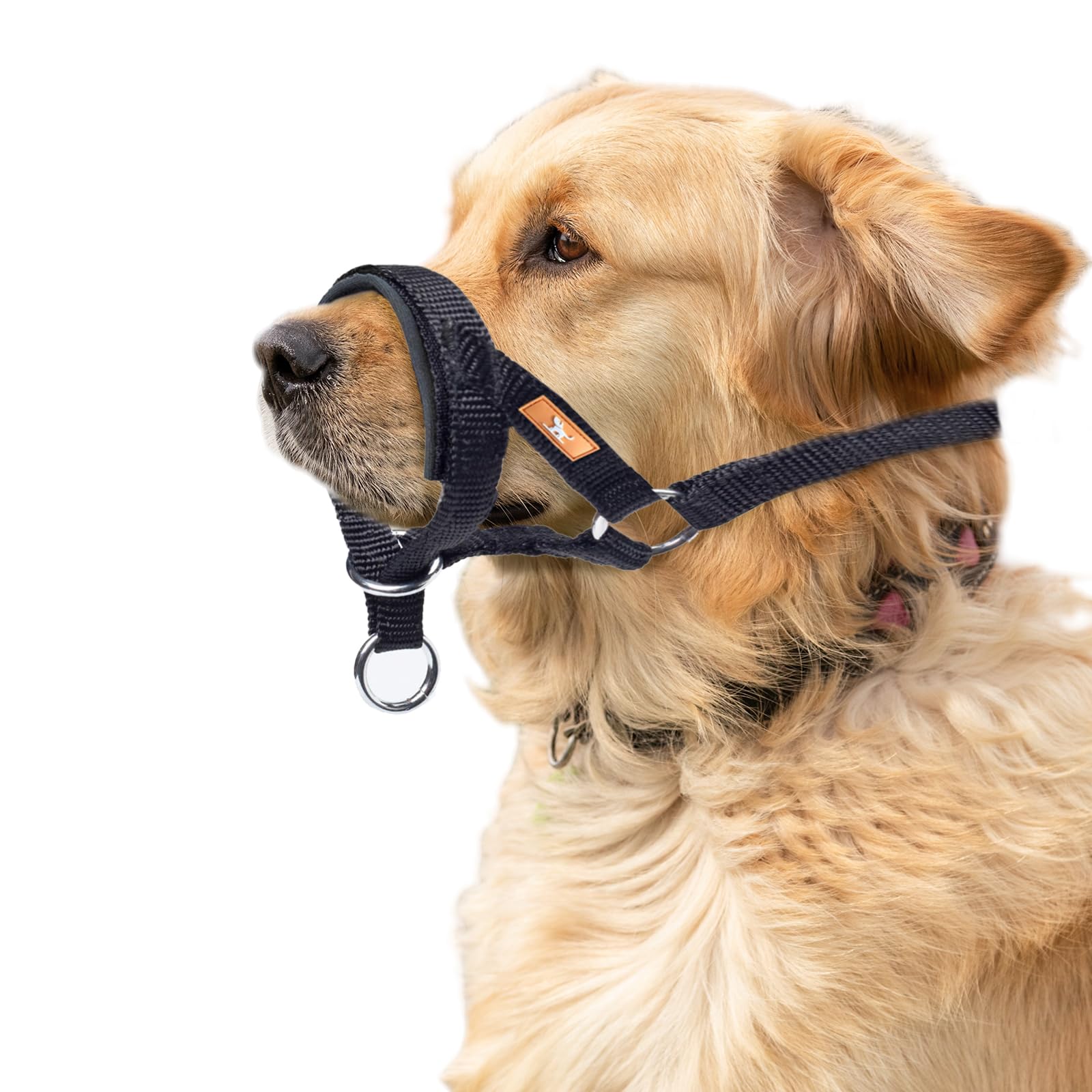 wintchuk Dog Head Collar with Soft Fabric, Head Harness Stops Dog Pulling, Head Leash for Small Medium Large Dogs Walking(M, Black)