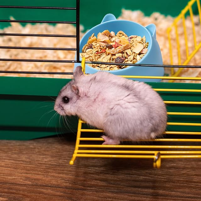 Foto 3 de 8 de Cuenco para hámster - Cuenco para cobayas, cuenco de comida para animales pequeños, accesorios para hámster…