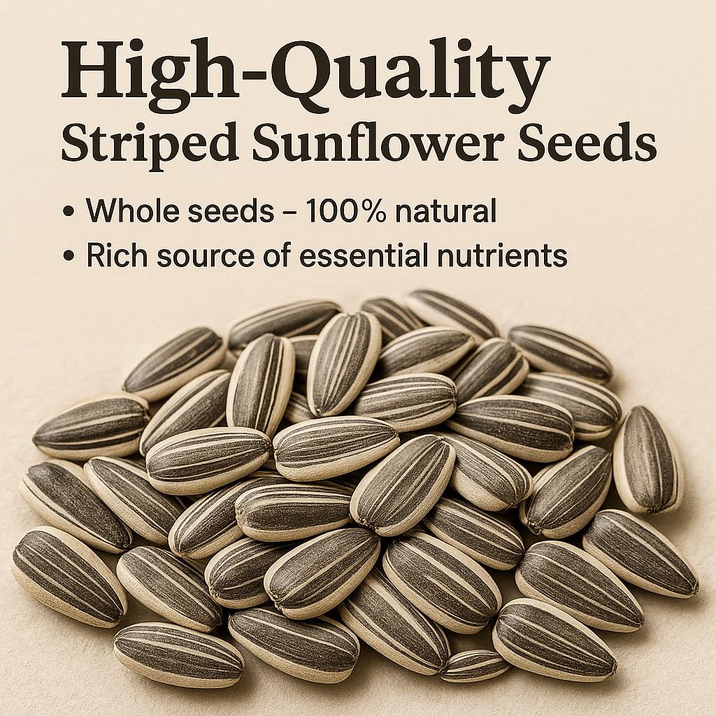 GiDeli Semillas de girasol a rayas 25 kg – Comida para pájaros todo el año – Comida dispersa para aves silvestres y aves – Comida para pájaros de invierno para carboneros, pinzones, gorriones – rico