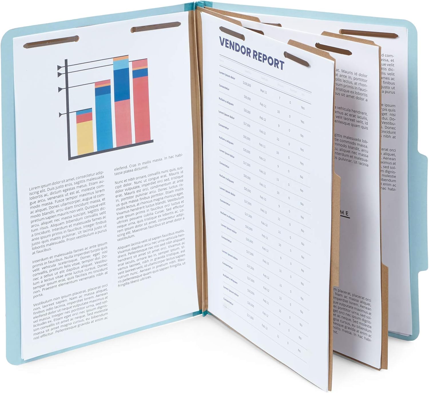 30 Legal Size Classification Folders, 2 Divider 2 Inch Tyvek Expansions, Durable 2 Prongs Designed to Organize Standard Law Client Files, Office Reports, 30 Legal Folders, Light Blue