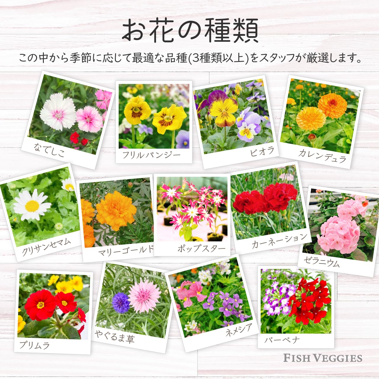 Amazon.co.jp: FISH VEGGIES 食べられるお花エディブルフラワー 13輪