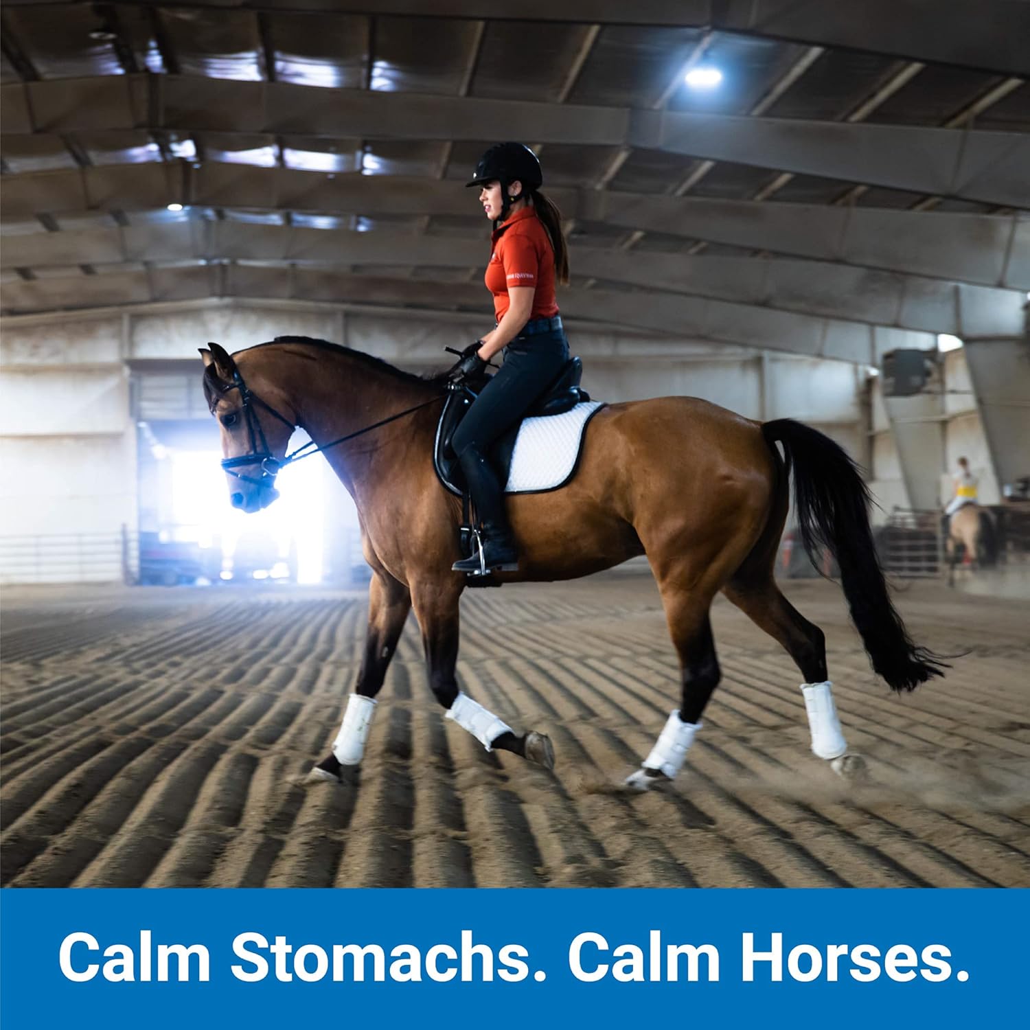 MagnaGard - Gastric Support Supplement for Horses | Relieves Ulcers, Calming Supplement, Magnesium & Other Vital Minerals | Powder, 4 Pound Bag, 30-Day Supply | by Eagle Equine : Pet Supplies