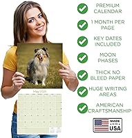 Vista 715 de Razas de Perros 2017