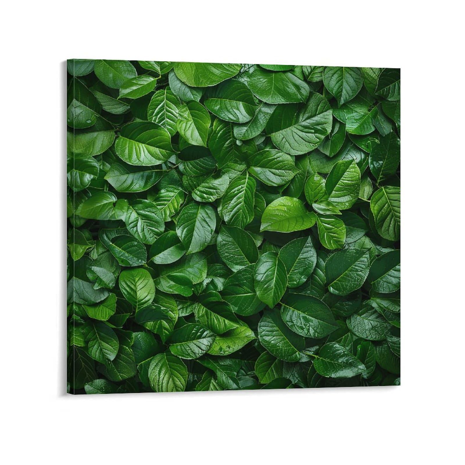 Green Leaves Wall Canvas Wall Art for Bedroom 20x20inch(50x50cm) Canvas Prints Artwork for Walls Modern Picture Artwork Painting for Living Room Aesthetic Wall Paintings for Bathroom Kitchen Office De