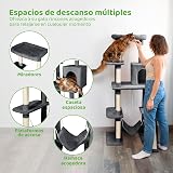 Ver la foto 2