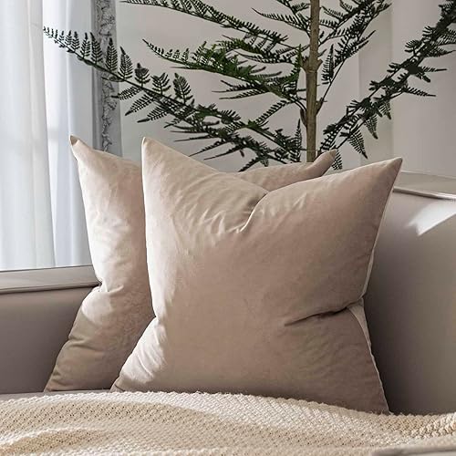 JUSPURBET Kissenbezüge aus Samt für Wohnzimmer, Couch, Sofa, Schlafzimmer, dekor