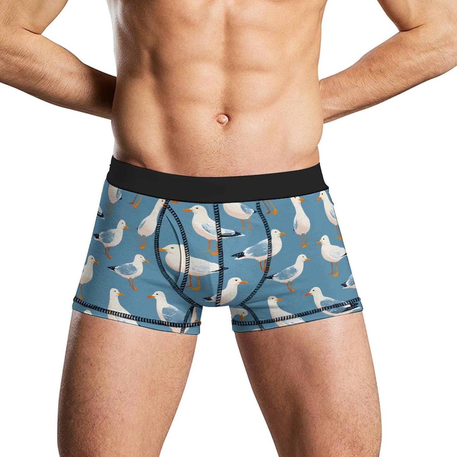 Seagull1 Pattern Novelty Men's Boxer Briefs Soft Breathable Underpants Trunks Stretch Underwear