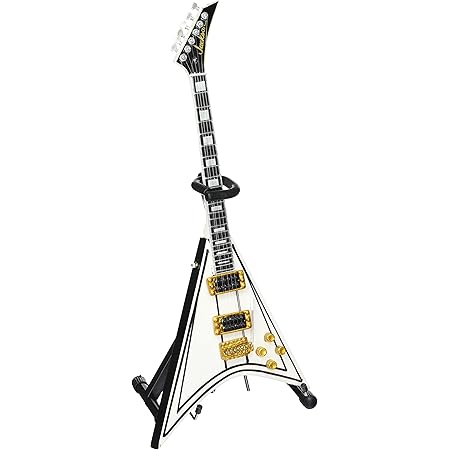 randy rhoads guitar case