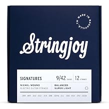 Stringjoy 9-42 12 String Super Light Signatures Electric Guitar Strings