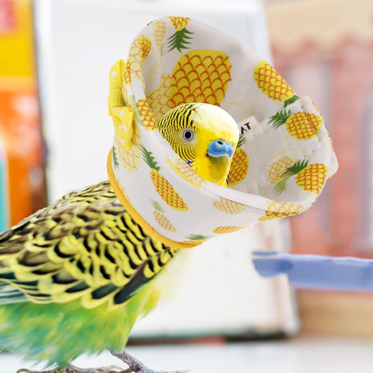 SUPVOX Parrot Collar Anti-Biting Bird Cone Collar for Plucking Protection Lightweight Comfortable Recovery Ring 6.69X3.54In