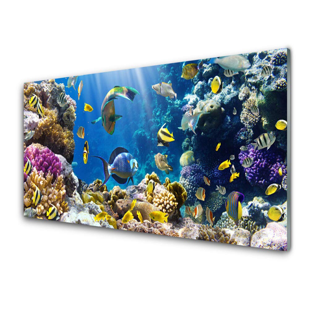 Tableau mural moderne en verre acrylique 100x50 cm sur le thème nature des récifs coralliens