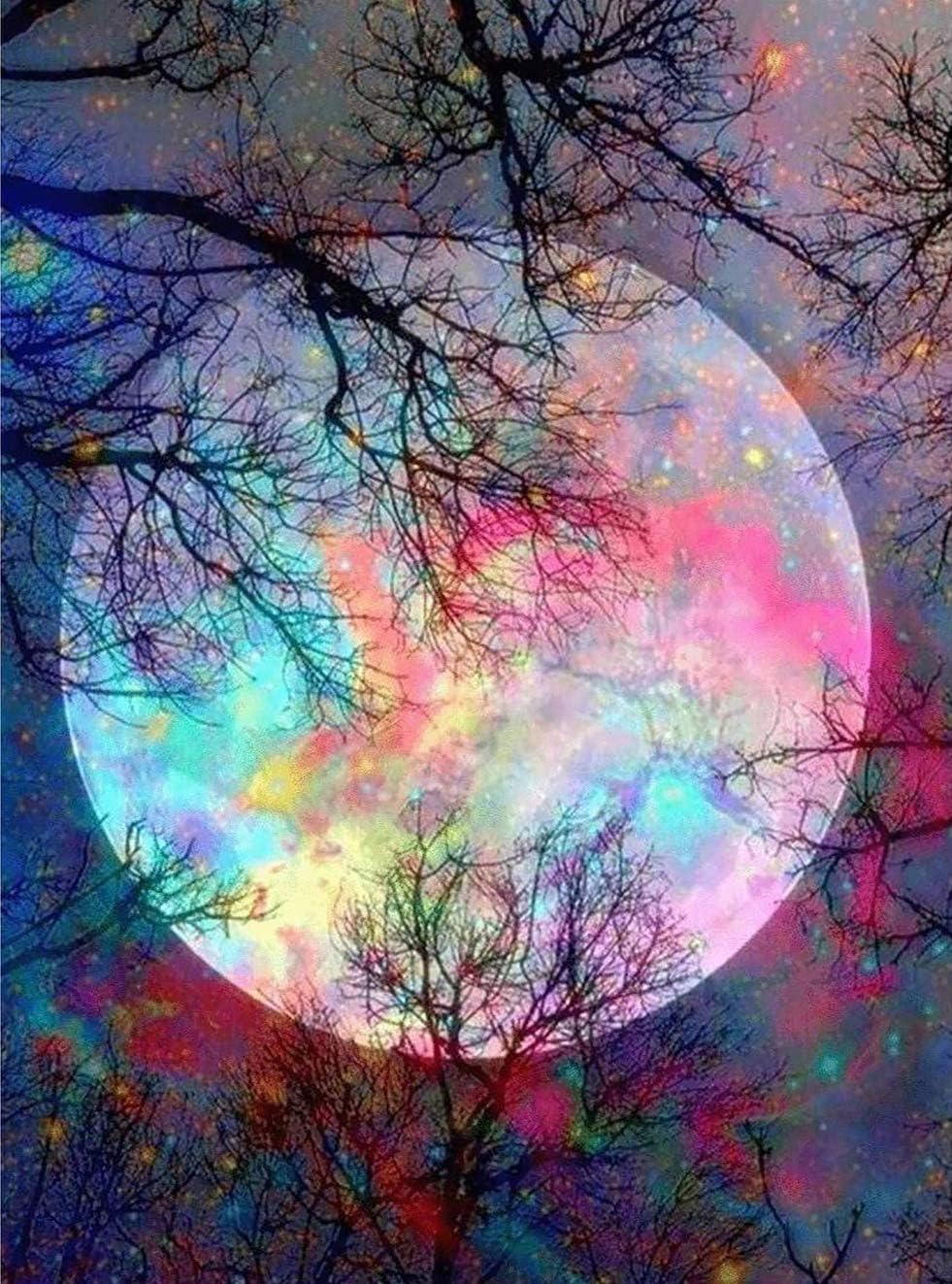 DIY 5D Diamond Painting Kits for Adults,Moon Full Drill Crystal Rhinestone Embroidery for Home Wall Decor(12X16in)