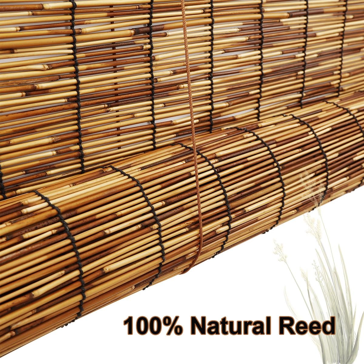 View 2