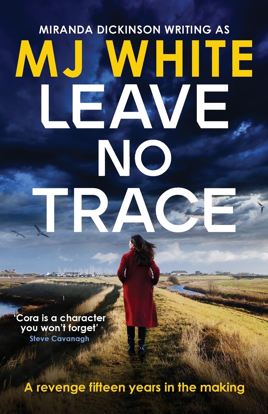 Leave No Trace : A suspenseful, twisty detective novel