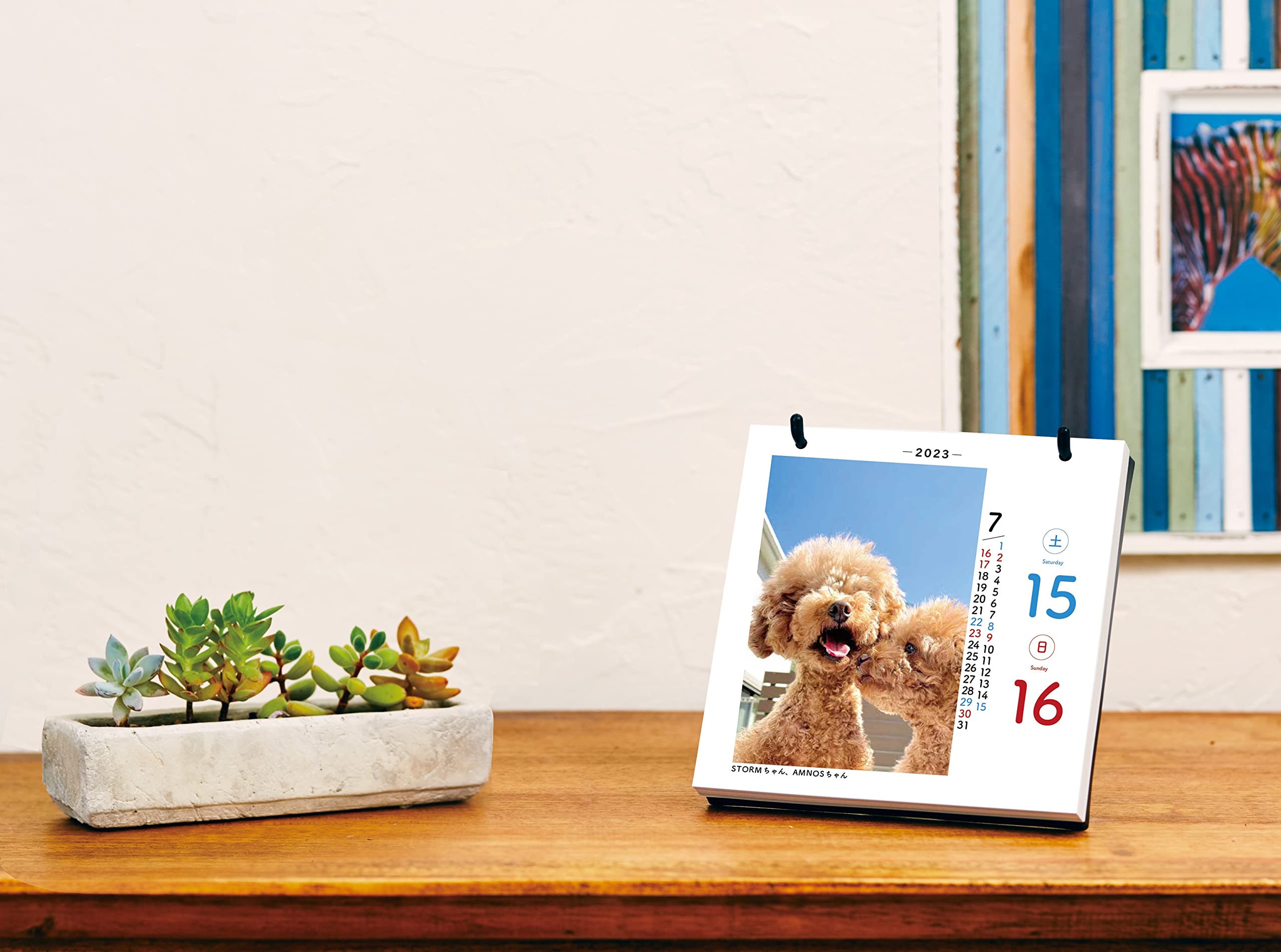 Amazon | 日めくりワンコ！2023年(卓上日めくりカレンダー犬版