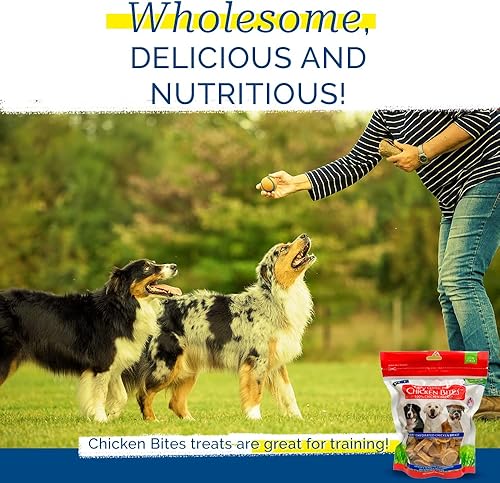 Miniatura 4 de PCI Pet Center Inc. Chicken Bites 100% Chicken Breast Raw Dehydrated Chicken Breast, Made in USA, 8 Ounce Pack