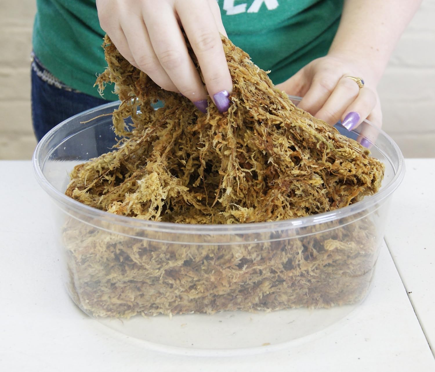 besgrow Premium New Zealand Sphagnum Moss, 150g (12L When Hydrated) Premier AAA Grade (150mm, 6" Strands) - Harvested in New Zealand's South Island, Dried and Long for Potted Plants, Orchids, Reptiles