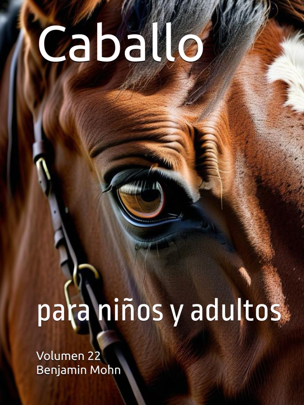 Caballo: para niños y adultos