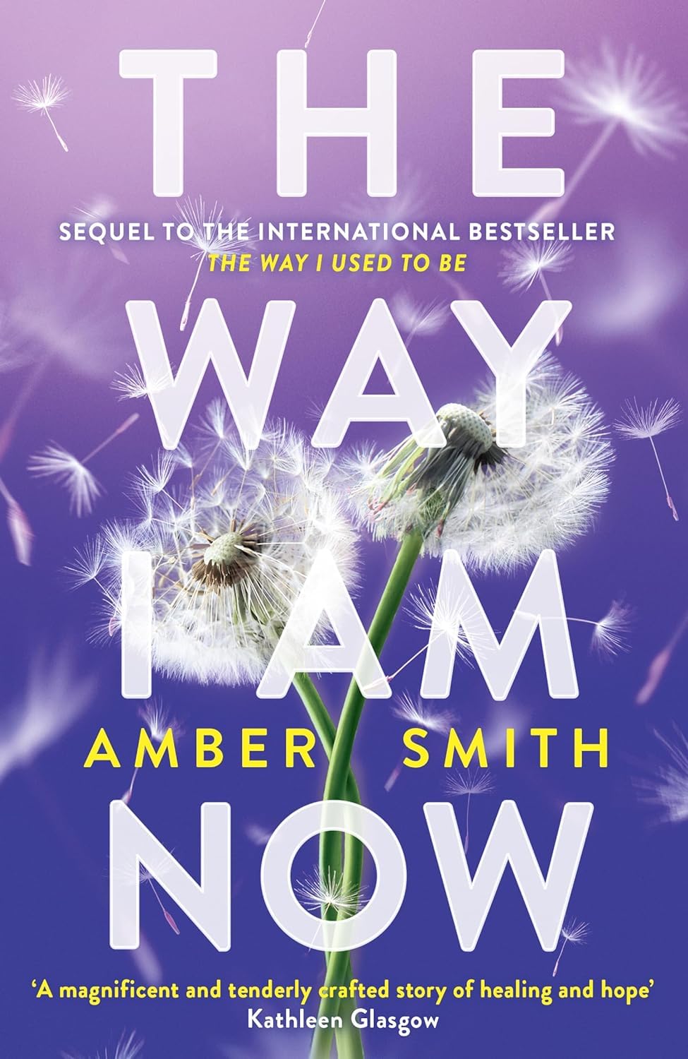 The Way I Used to Be Series 2 Books Collection Set By Amber Smith (The Way I Used to Be & The Way I Am Now)