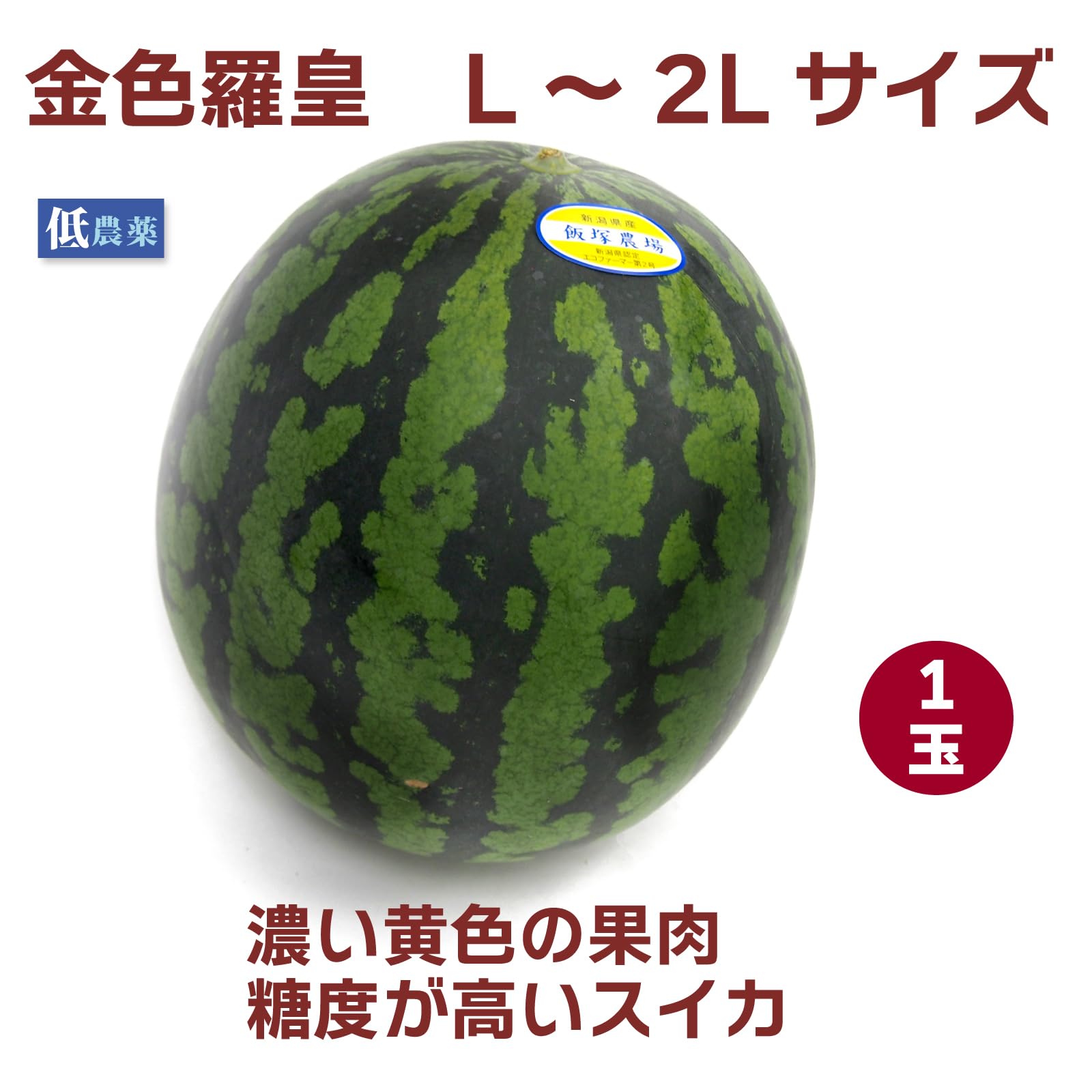 Amazon.co.jp: 糖度が高いすいか 金色羅皇（こんじきらおう）L～2L