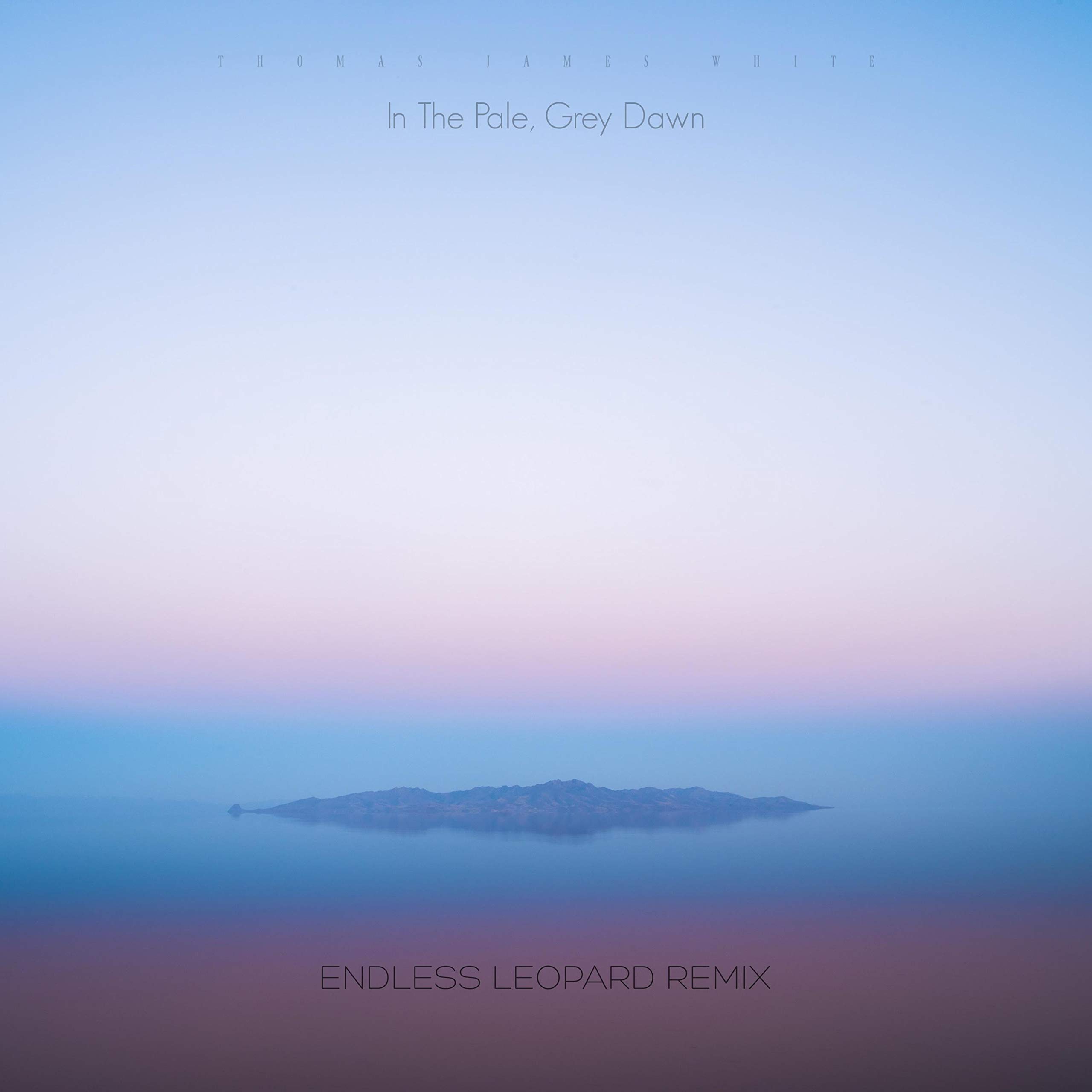 Thomas James White & Endless Leopard