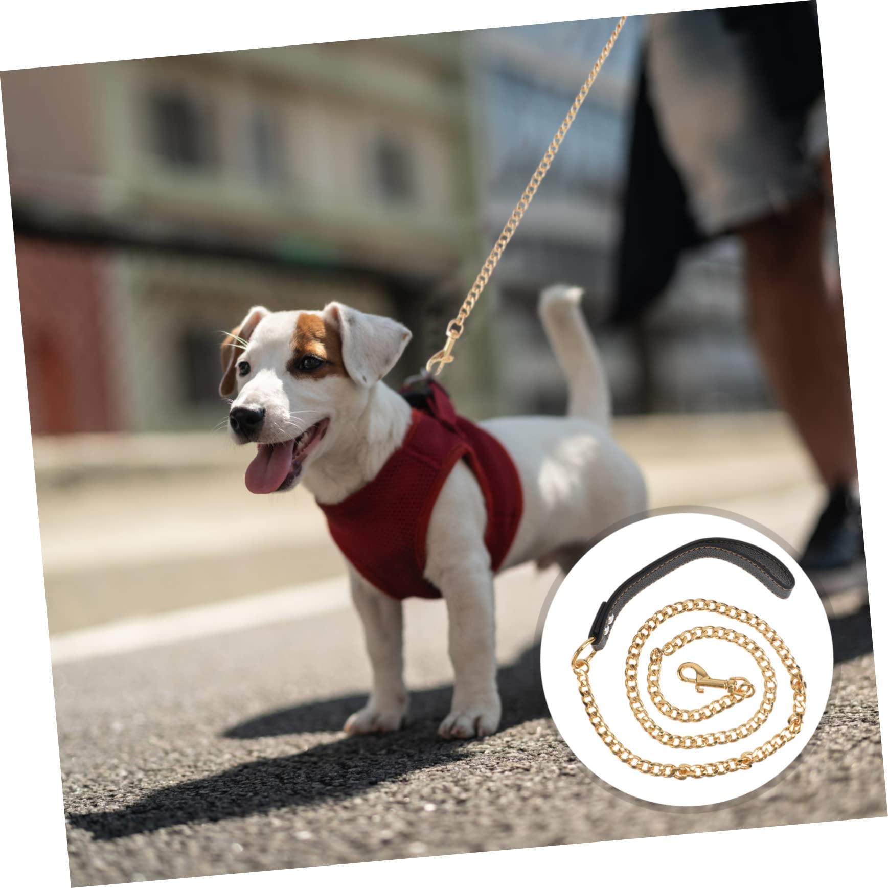 BESPORTBLE Cuerda Inoxidable Dorada Correa para Perros Cable De Arrastre Resistente y Duradera para Mascotas