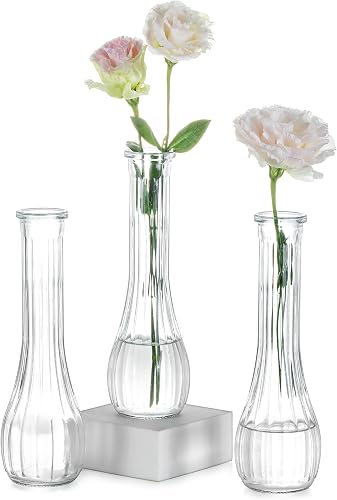 Glass Bud Vases Centerpiece Bulk, 8.5" Tall, Clear, Set of 3 | Cute Ribbed Flower Vase, for Wedding, Birthday, Party, Events, Home, Table Decor
